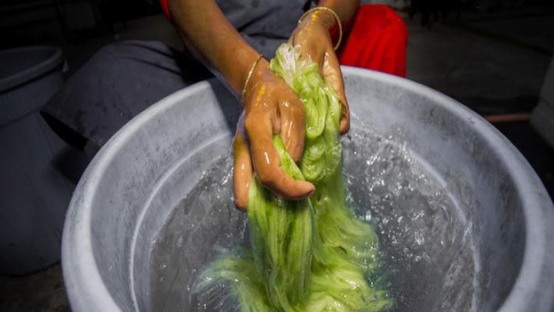 Enough agri waste in Asia to produce natural fibres at scale: study