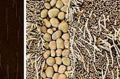 Growing awareness increases demand for sustainable textiles