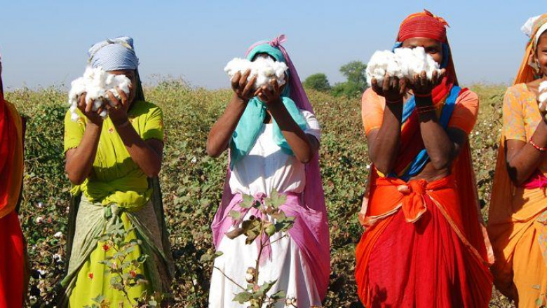 Sustainability brand rankings: Losing track