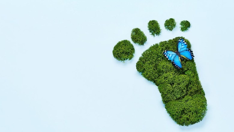 Fashion Footprint: Calculating and Minimizing Your Environmental Impact