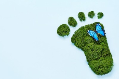 Fashion Footprint: Calculating and Minimizing Your Environmental Impact
