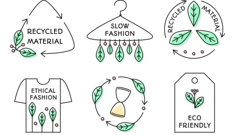 The Evolution of Eco-Friendly Textiles: From Mushroom Leather to Algae Fabrics